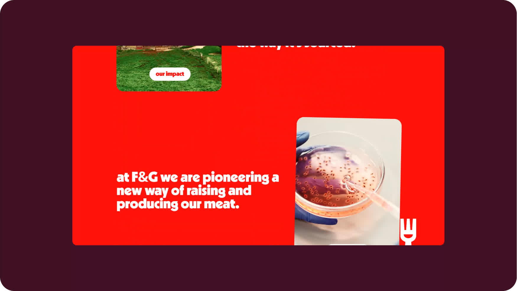 Conversion Optimization